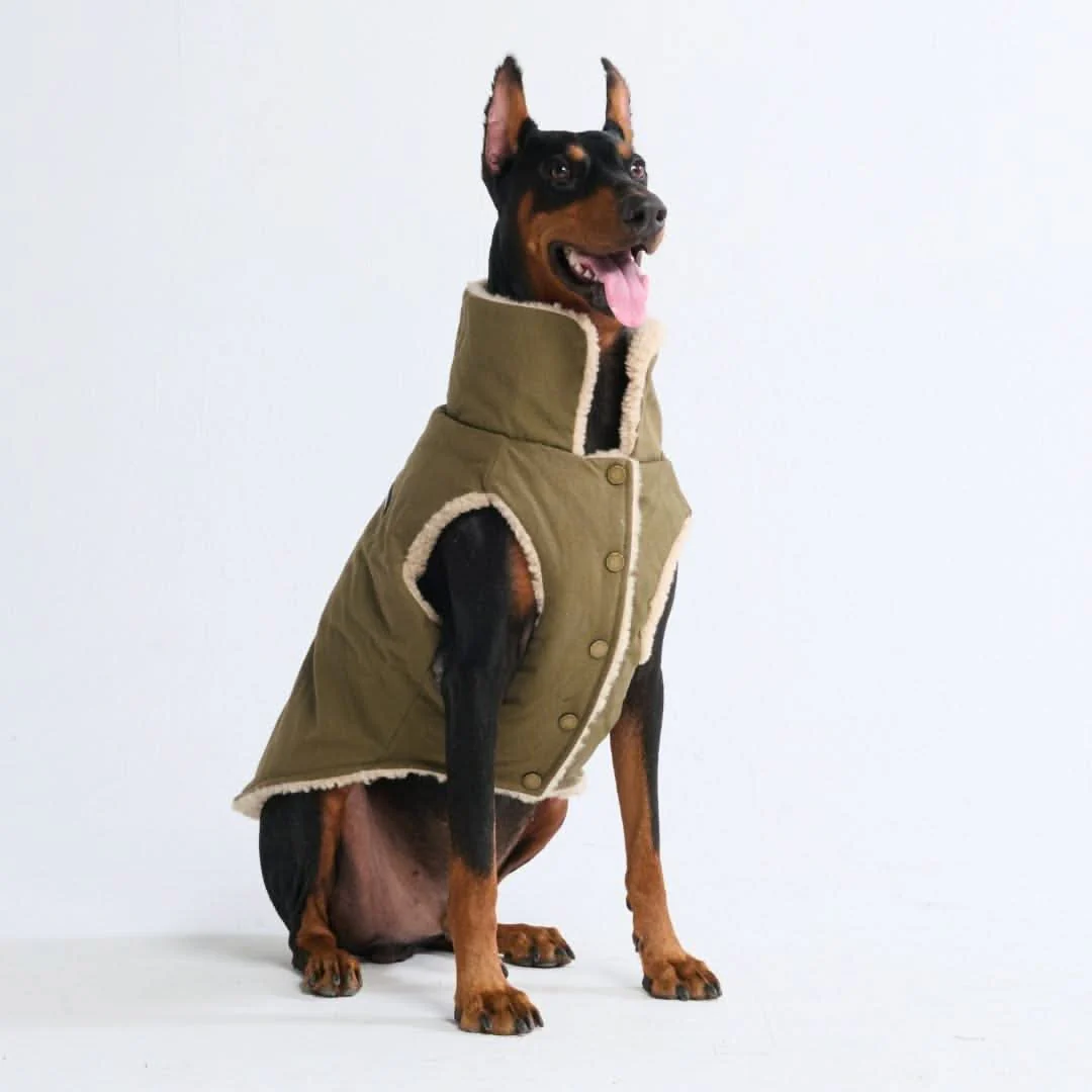 Workdog Insulated Utility Jacket Jackets - Image 12