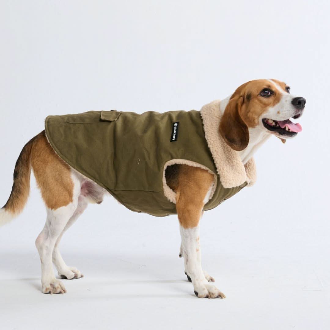Workdog Insulated Utility Jacket Jackets - Image 9