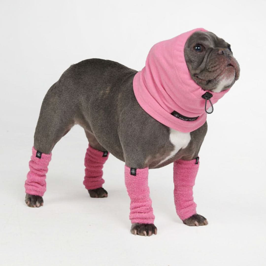 Anxiety Calming Dog Earmuff Protector - Image 3