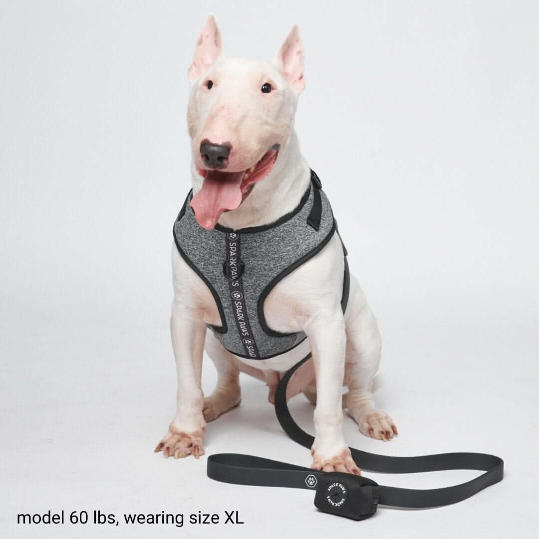 Ultra-Soft Activewear Harness Set (Multi) - Image 4