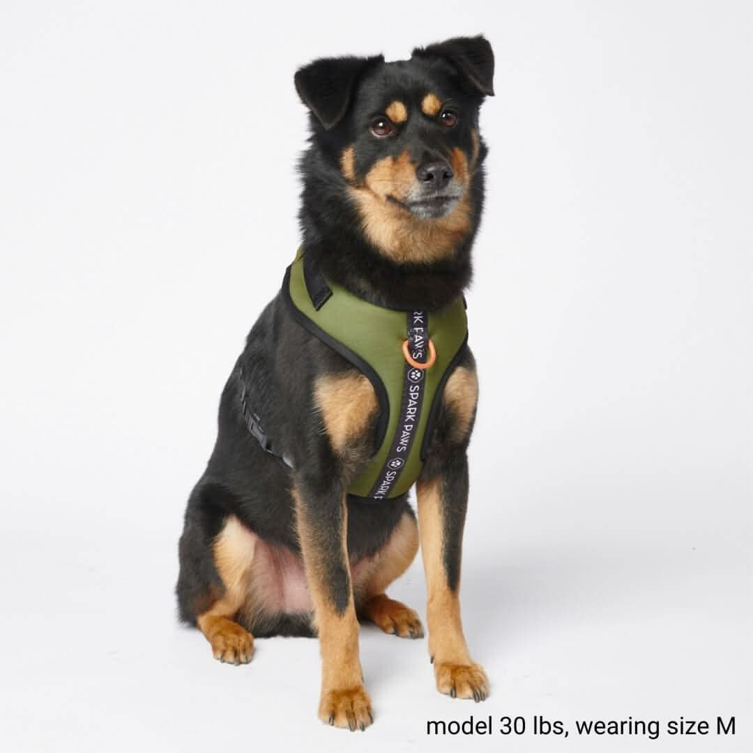 Ultra Soft Activewear Dog Harness - Green - Image 3