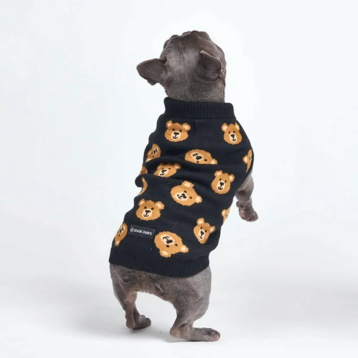Broken Teddy Bear Knit Dog Sweater - Black - Image 5
