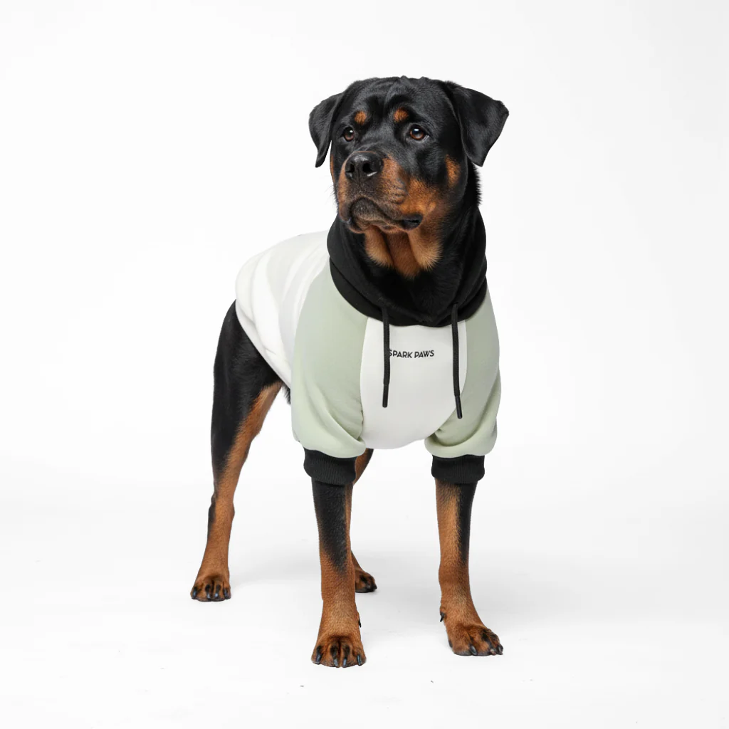 Olive Cream Dog Hoodie - Image 7