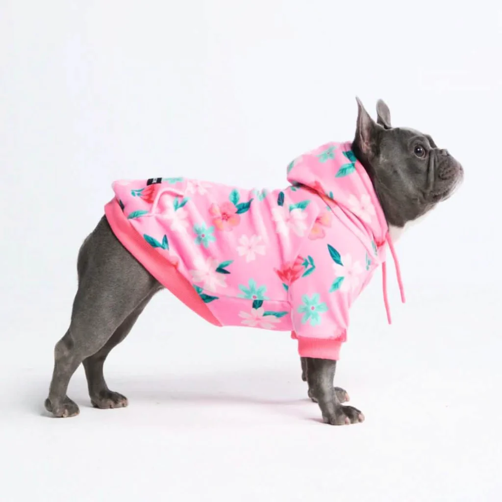 Blossom Dog Hoodie - Pink - Image 4