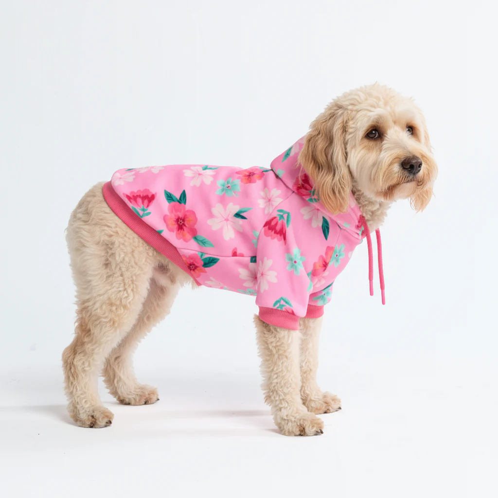 Blossom Dog Hoodie - Pink - Image 5