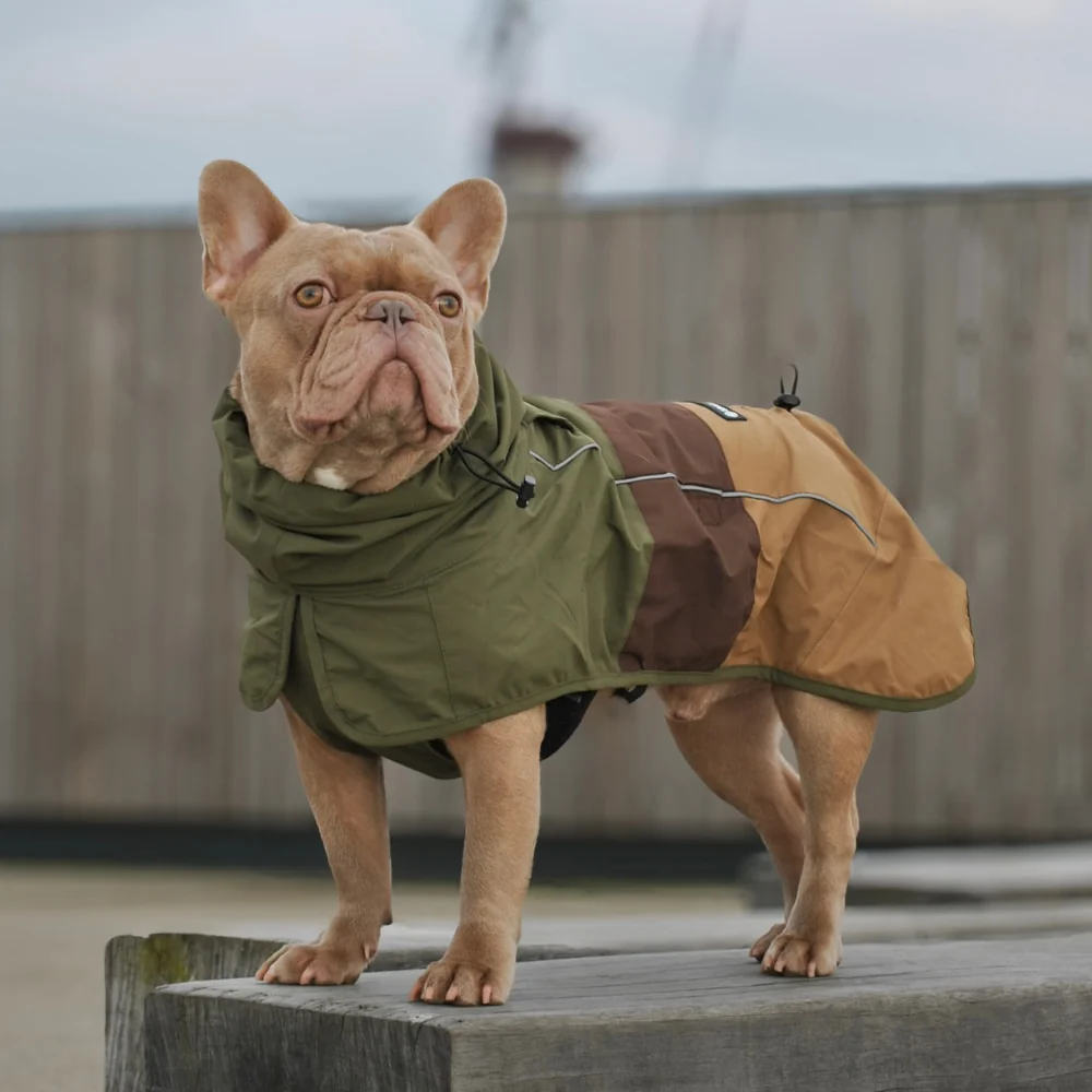 Breatheshield™ Dog Raincoat - Green Brown Tan - Image 10