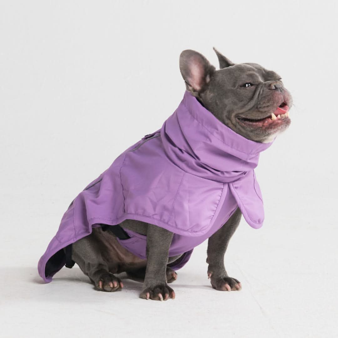 Breatheshield™ Dog Raincoat (Multi-Color) - Image 46