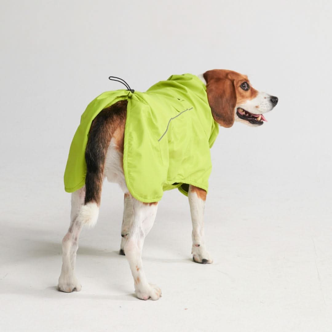 Breatheshield™ Dog Raincoat (Multi-Color) - Image 55
