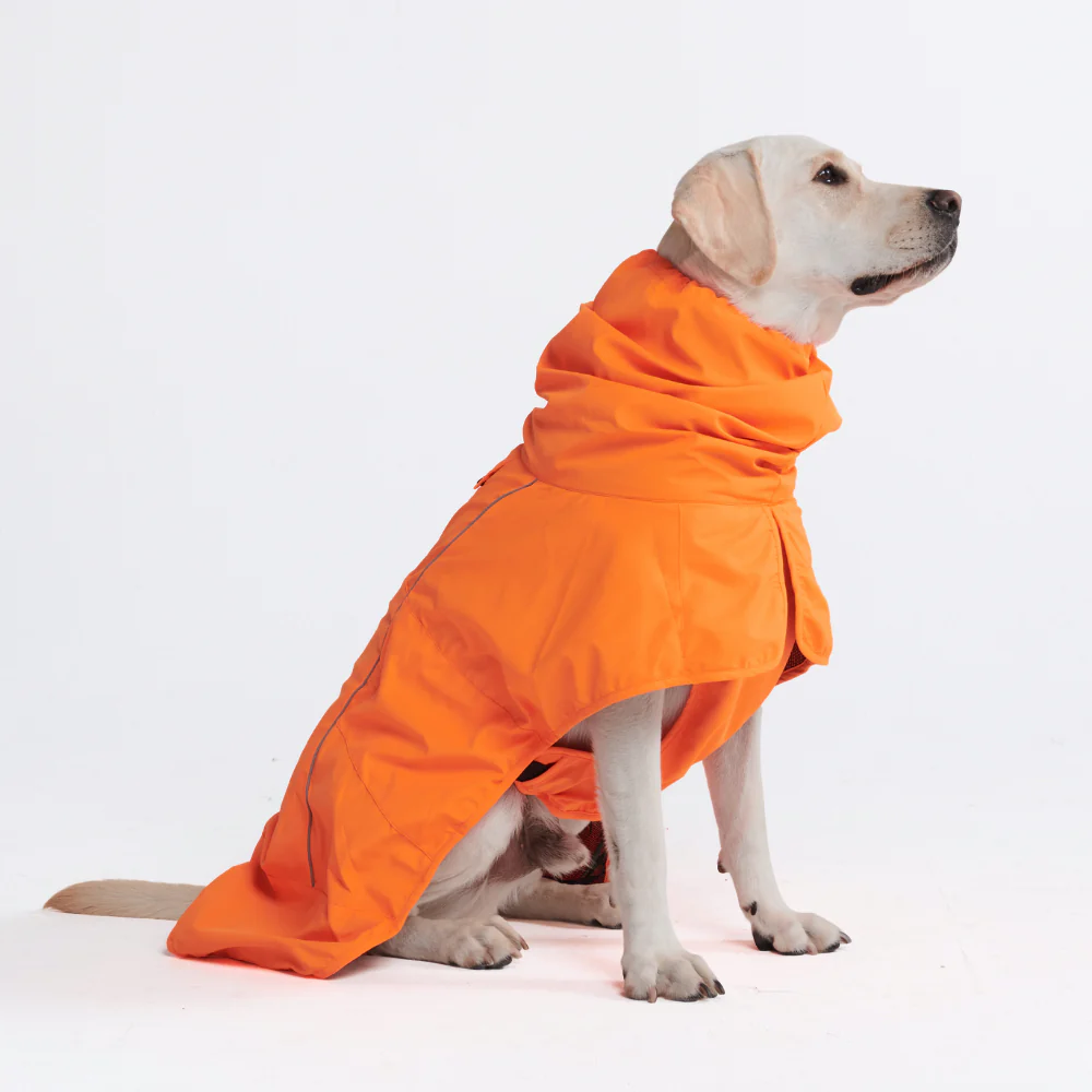 Breatheshield™ Dog Raincoat (Multi-Color) - Image 70