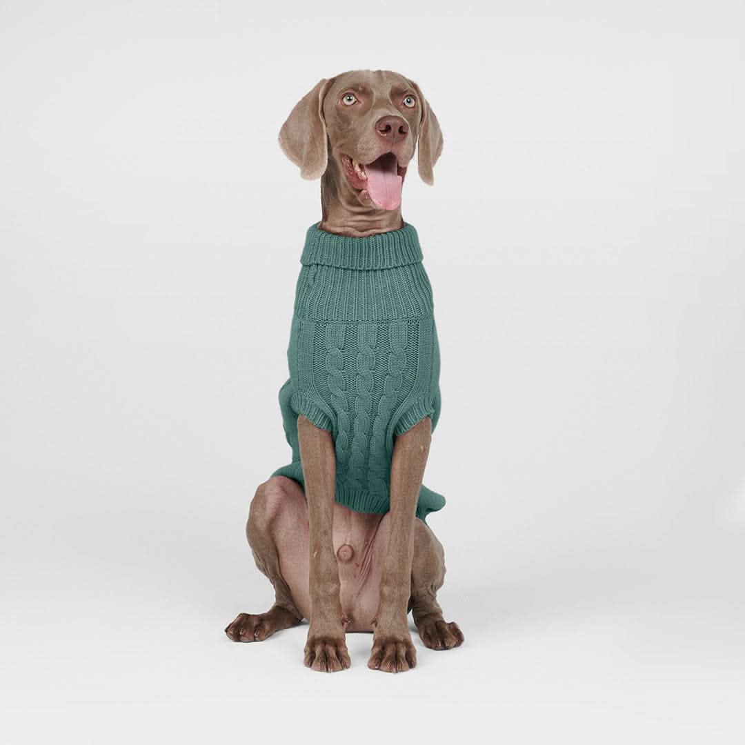 Cable Knit Dog Sweater - Pine Green - Image 3