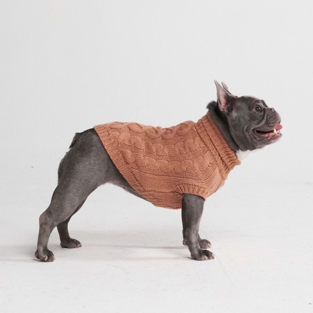 Cable Knit Dog Sweaters - Image 14