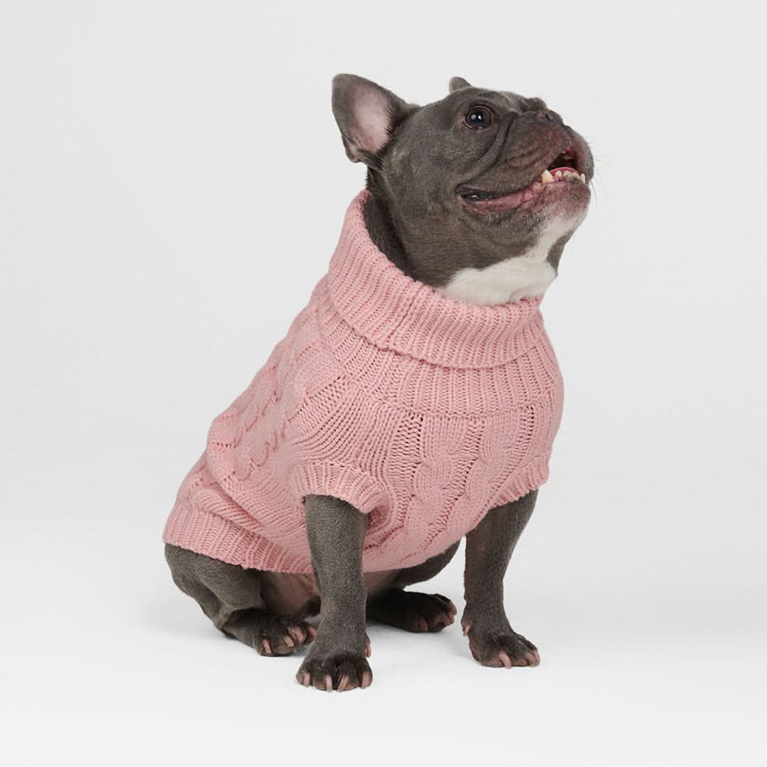 Cable Knit Dog Sweaters - Image 5