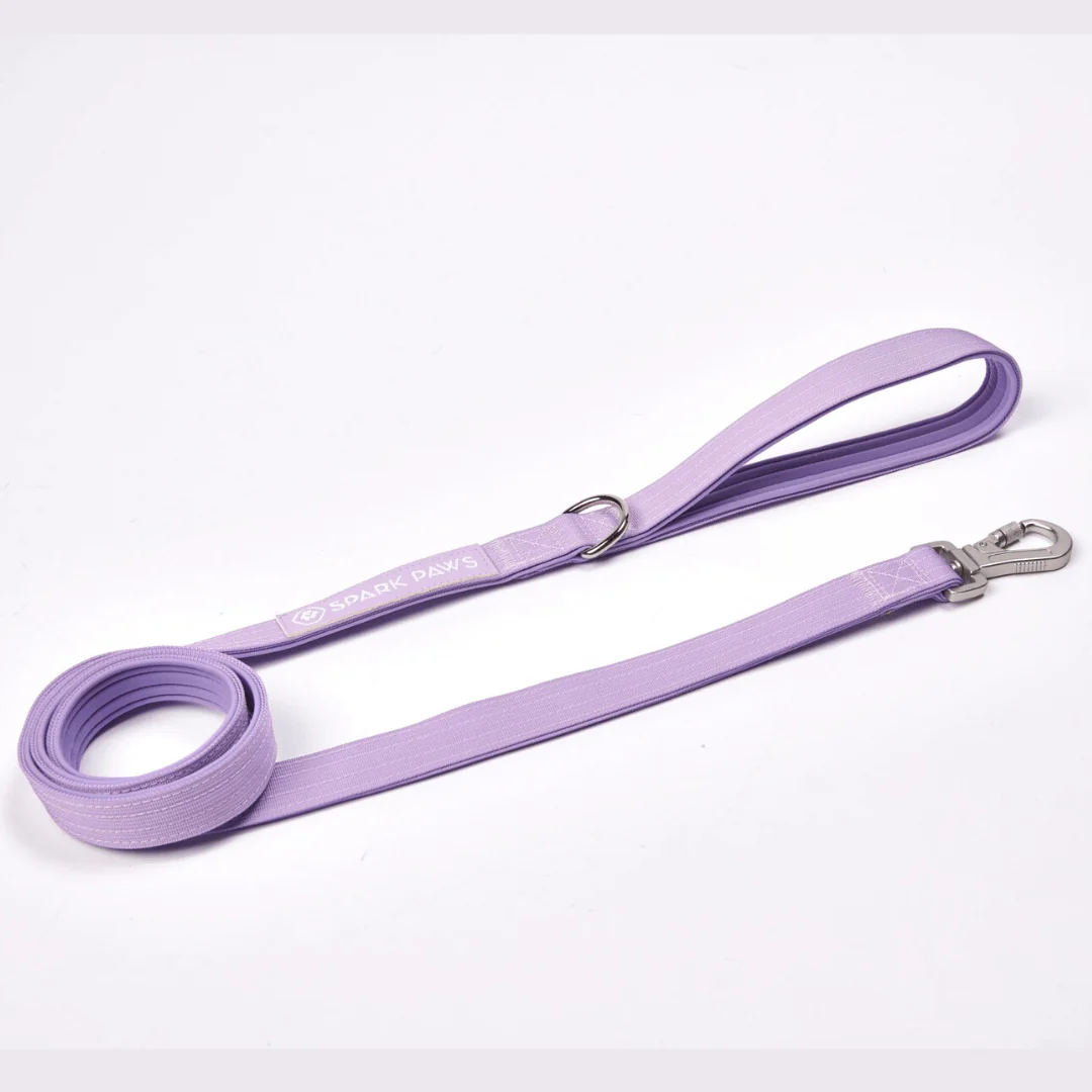 Comfort Control Dog Leash (Multi Color) - Image 4