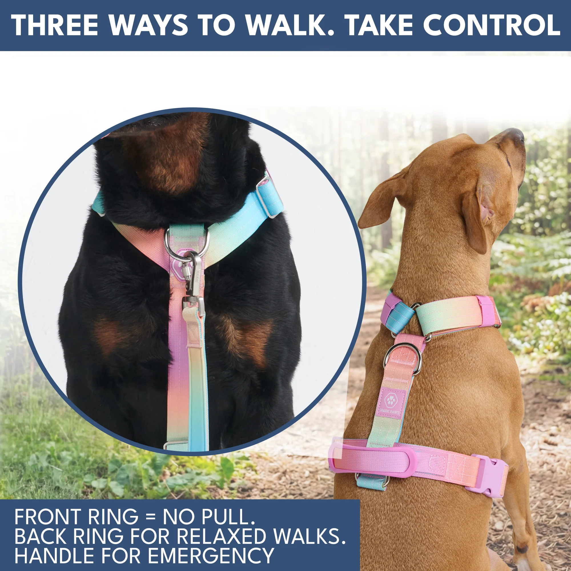 Comfort Control No-Pull Dog Harness and Multipurpose Leash Sets - Image 10