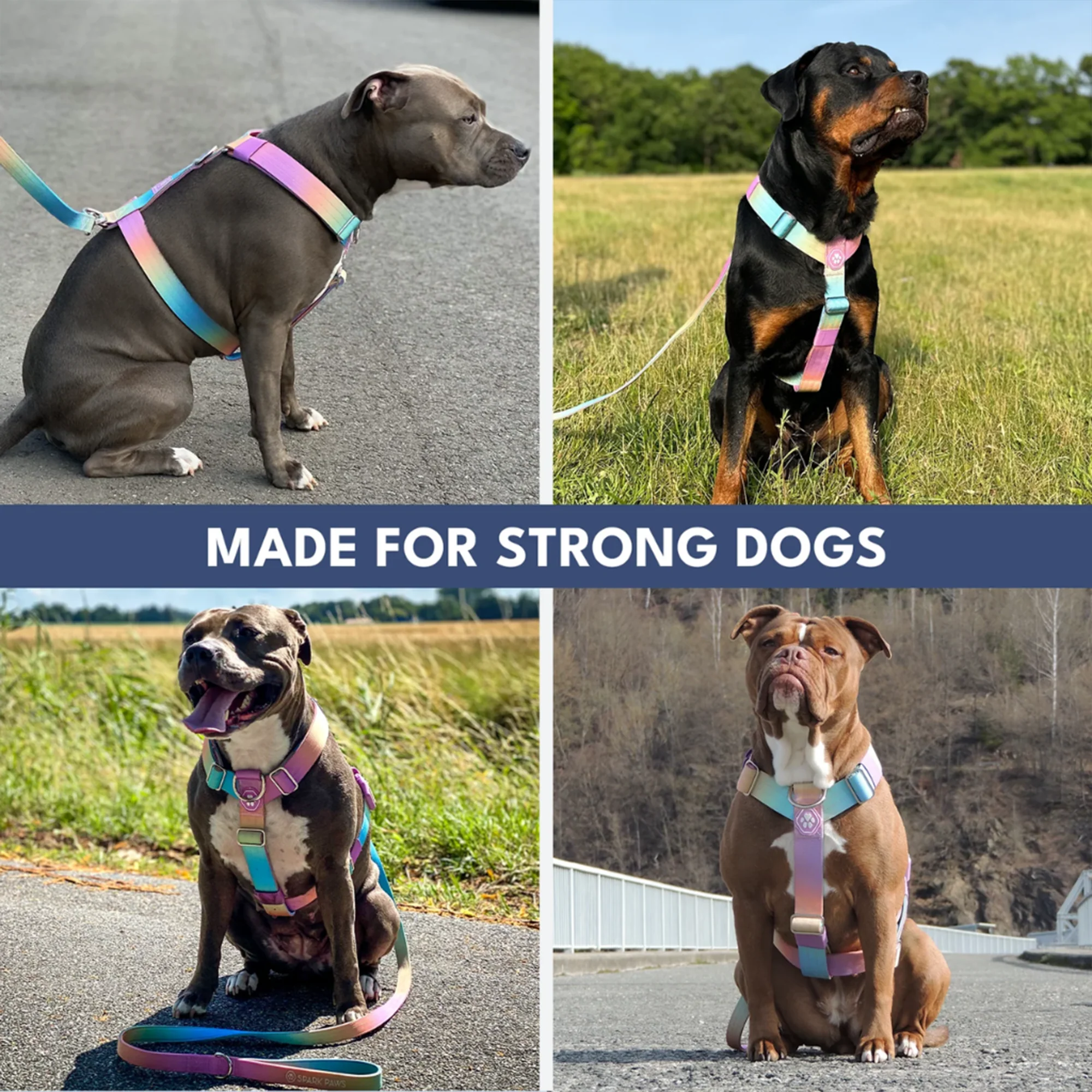 Comfort Control No-Pull Dog Harness and Multipurpose Leash Sets - Image 12