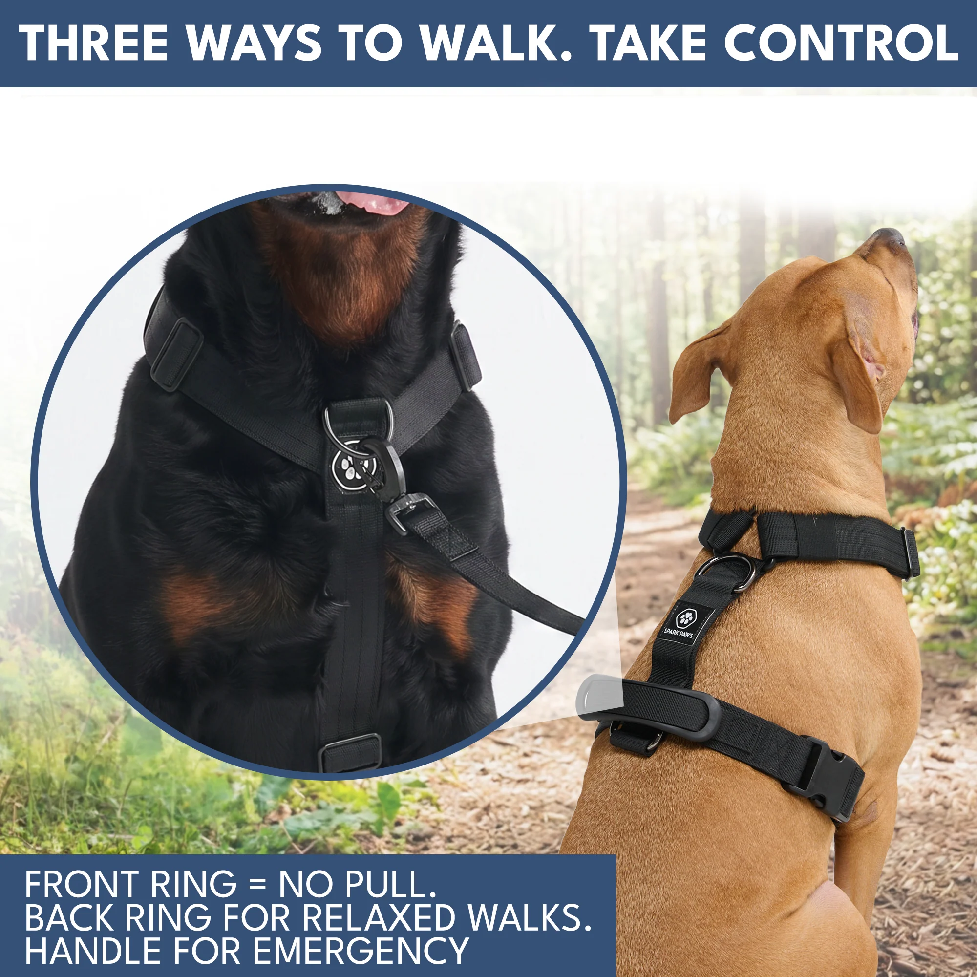 Comfort Control No-Pull Dog Harness and Multipurpose Leash Set - Black - Image 4