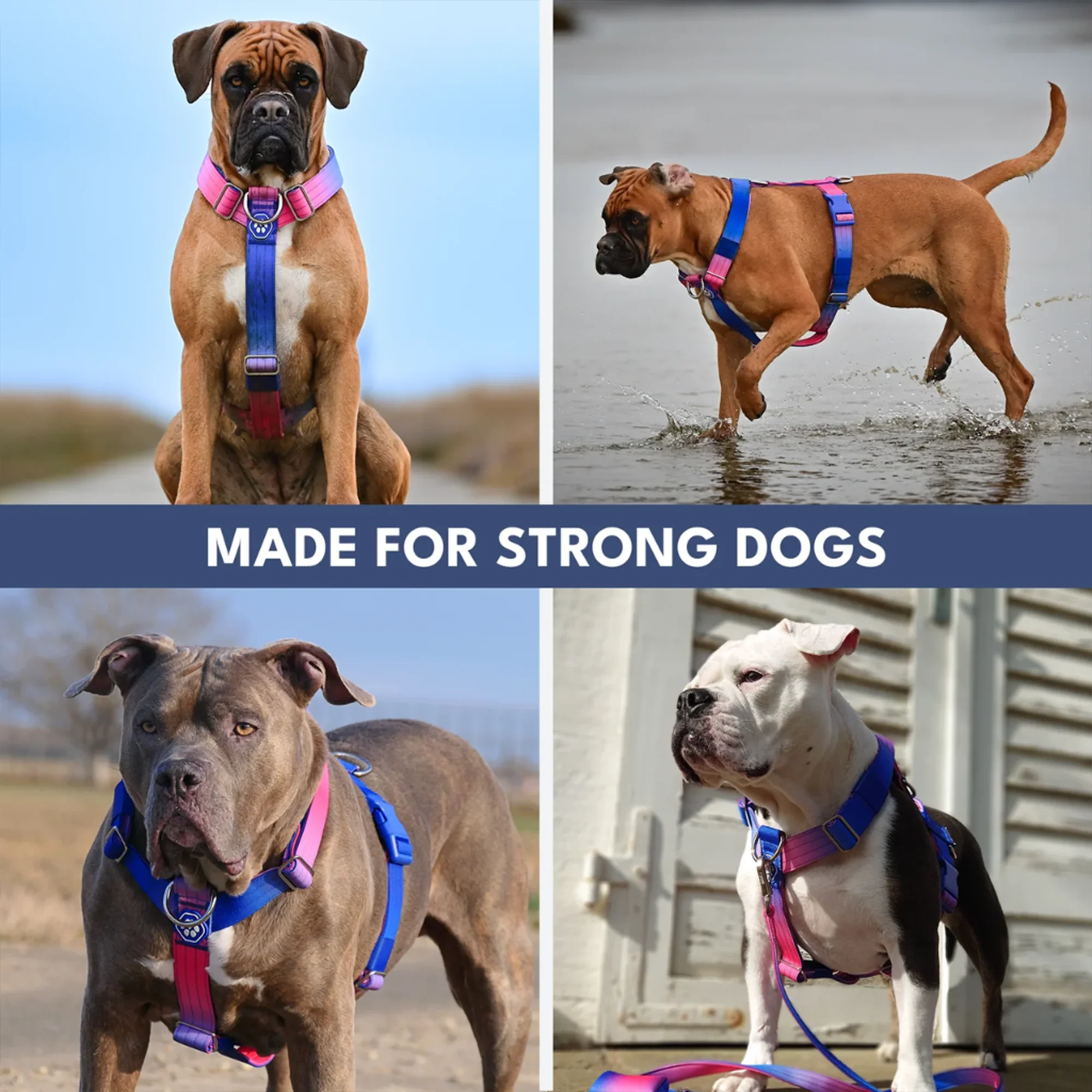Comfort Control No-Pull Dog Harness and Multipurpose Leash Sets - Image 42