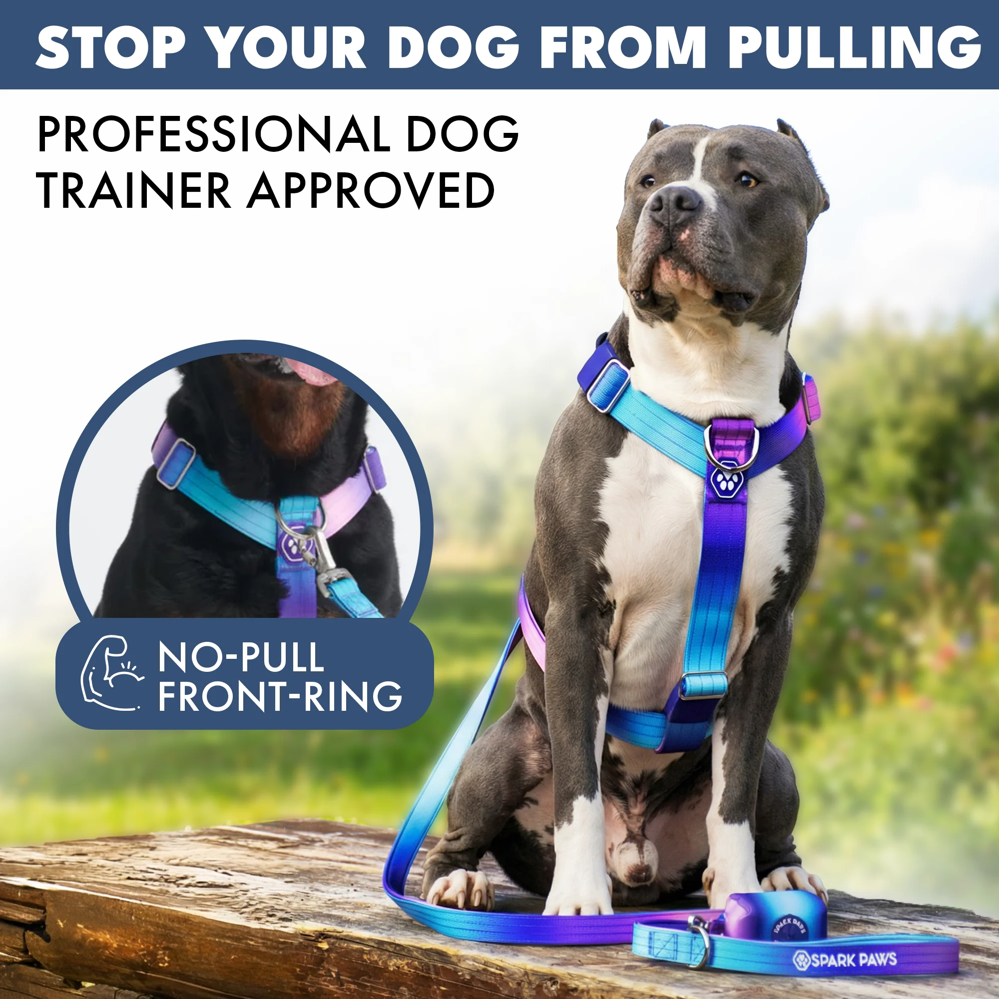 Comfort Control No-Pull Dog Harness Set - 90s Retro - Image 3