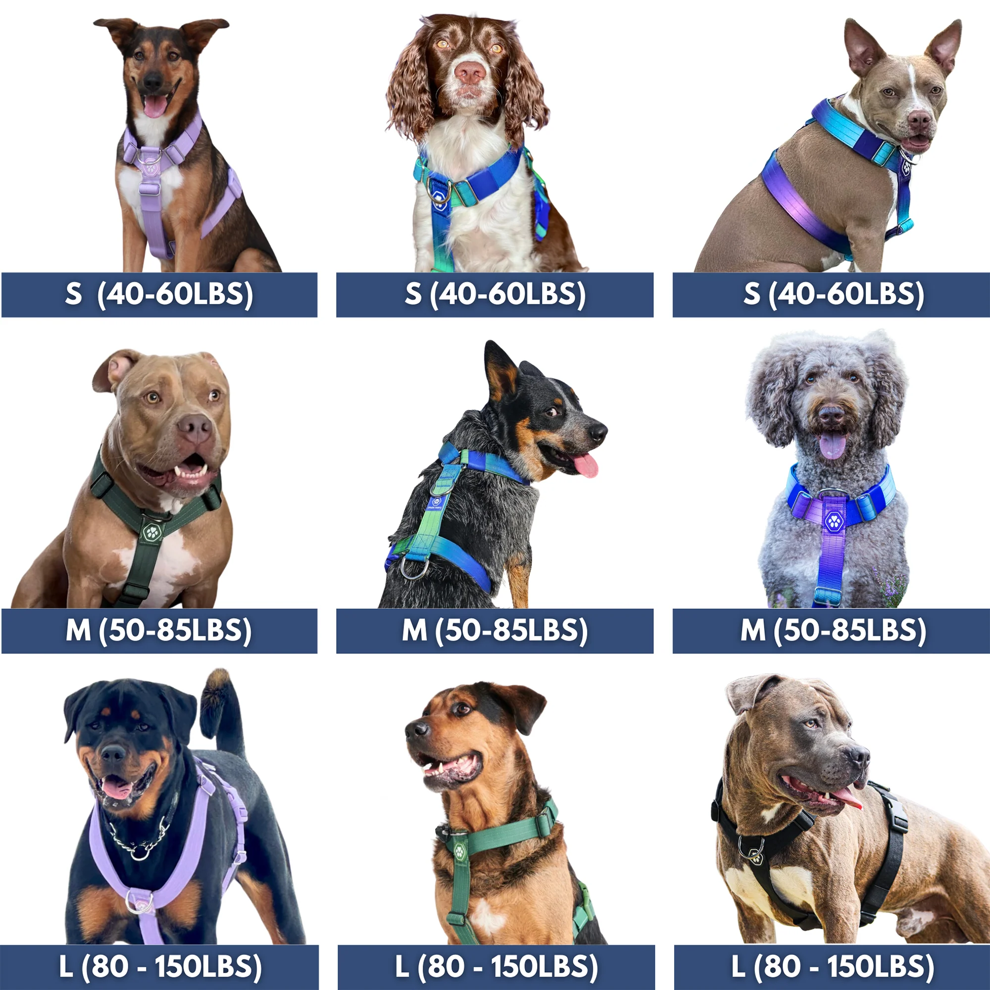 Comfort Control No-Pull Dog Harnesses - Image 31