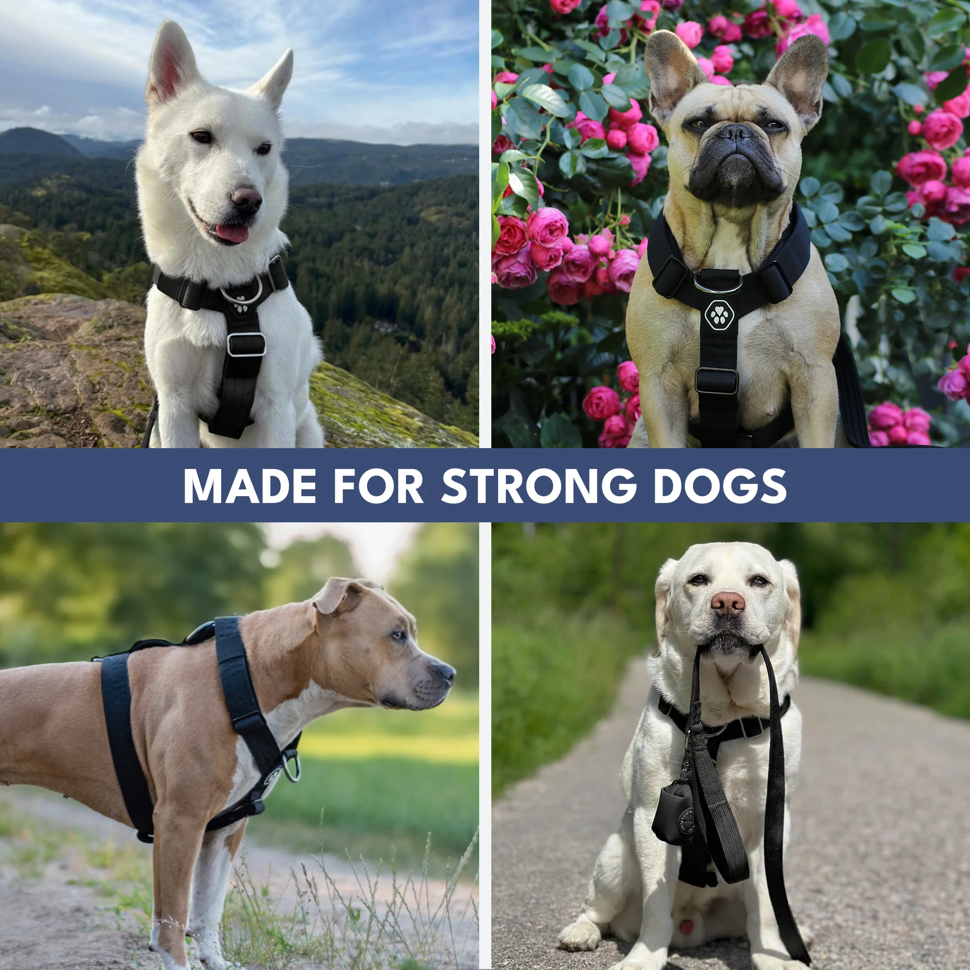 Comfort Control No-Pull Dog Harnesses - Image 32