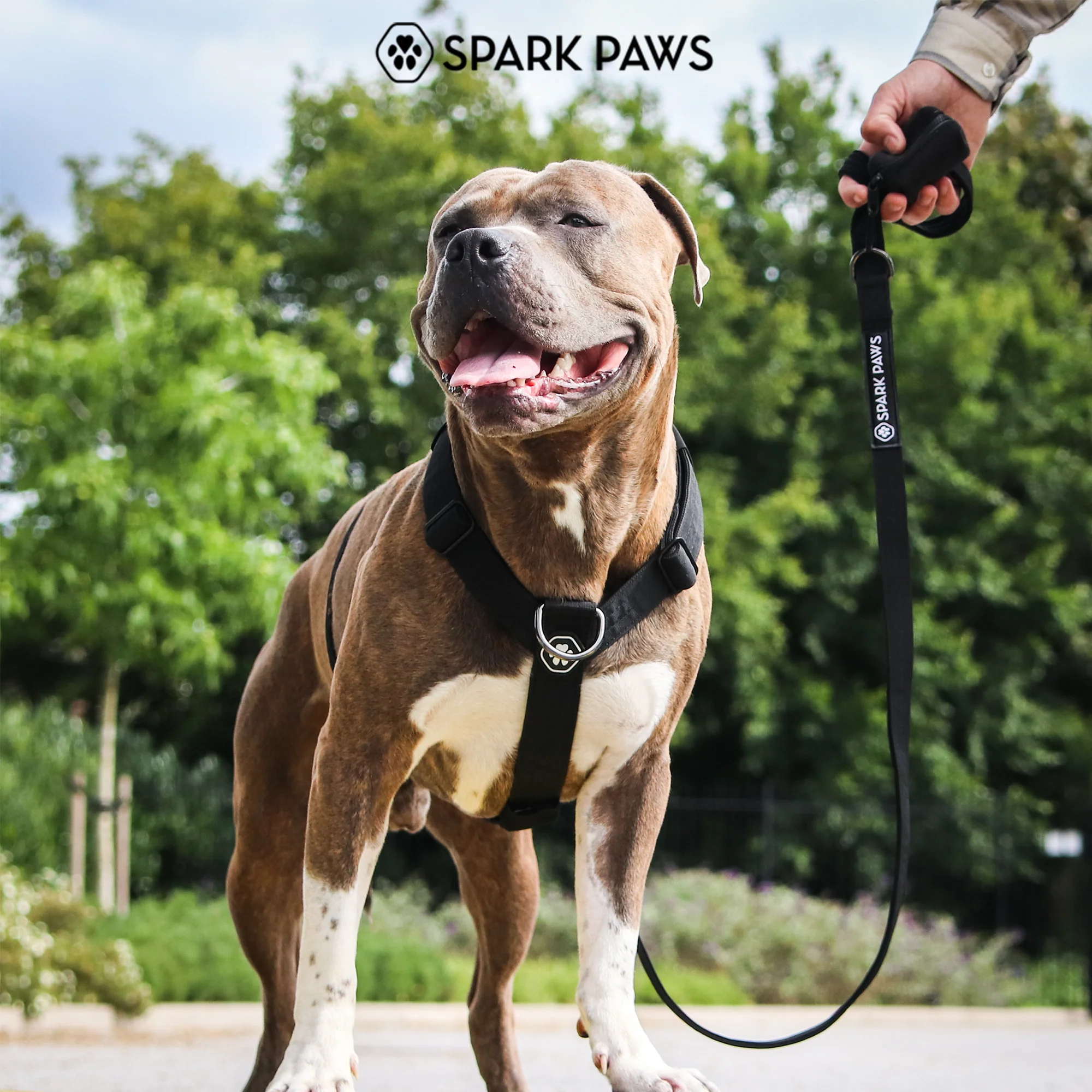 Comfort Control No-Pull Dog Harnesses - Image 33