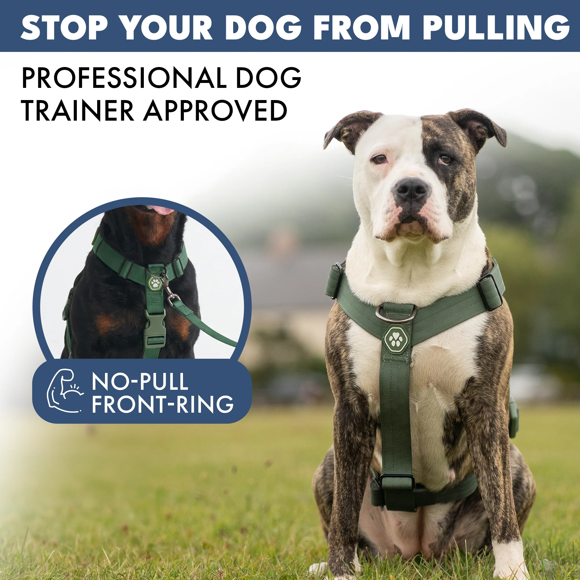 Comfort Control No-Pull Dog Harness - Green - Image 3