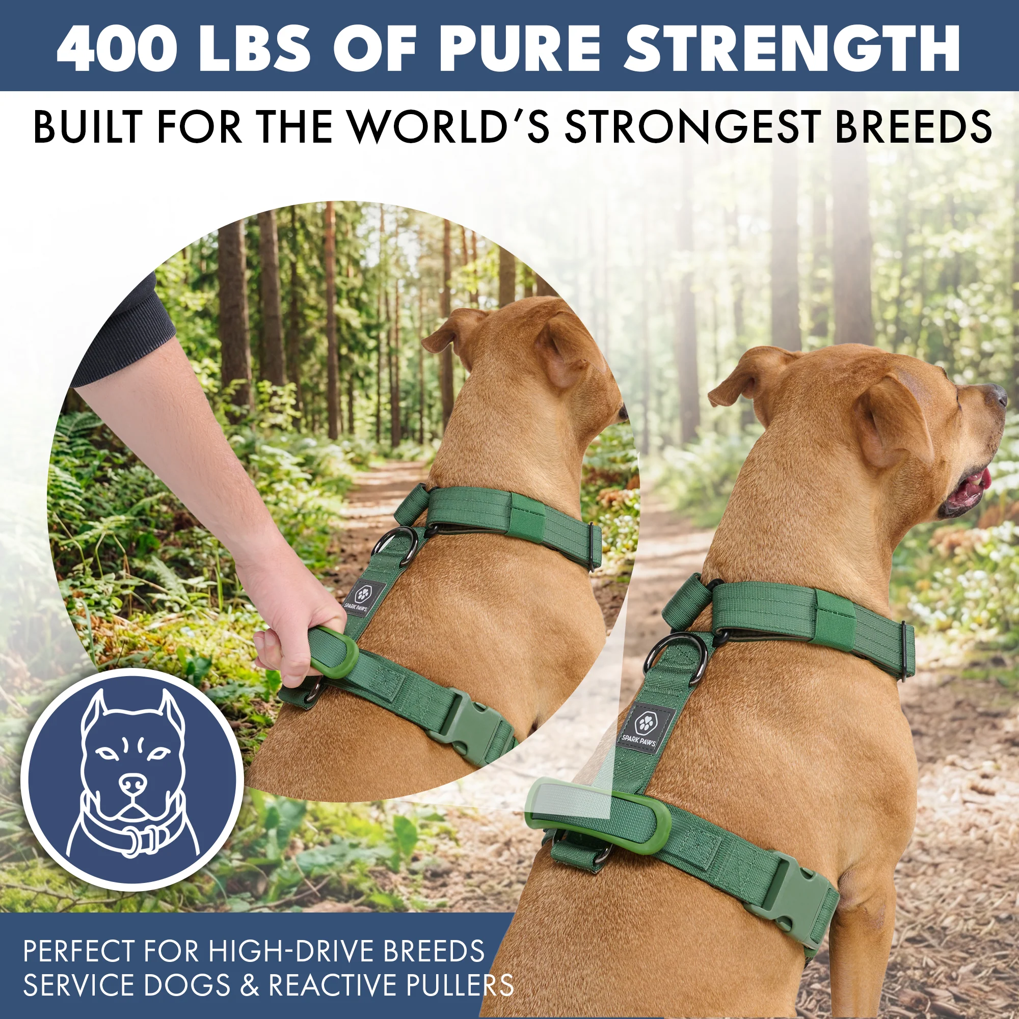 Comfort Control No-Pull Dog Harness - Green - Image 4