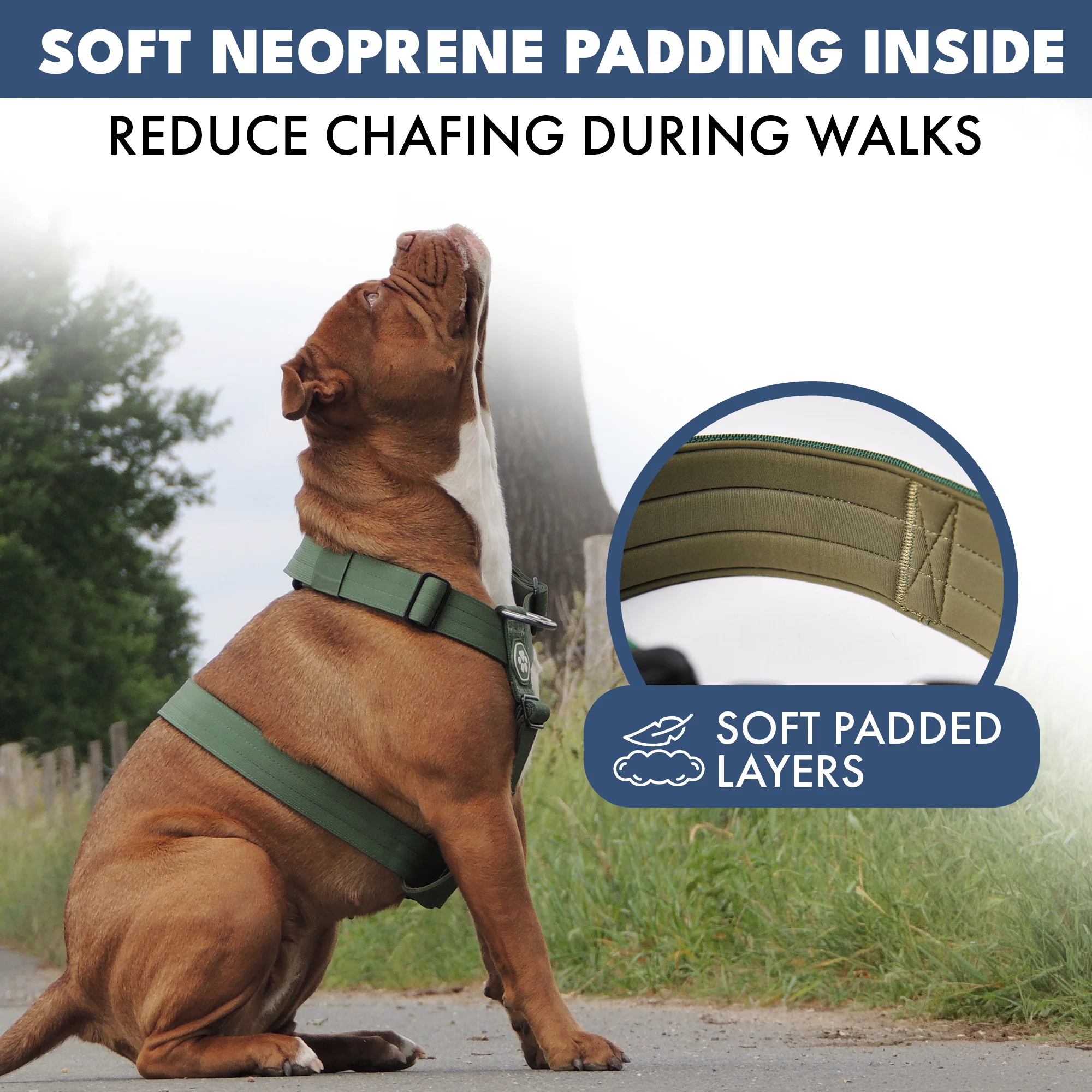 Comfort Control No-Pull Dog Harness - Green - Image 5