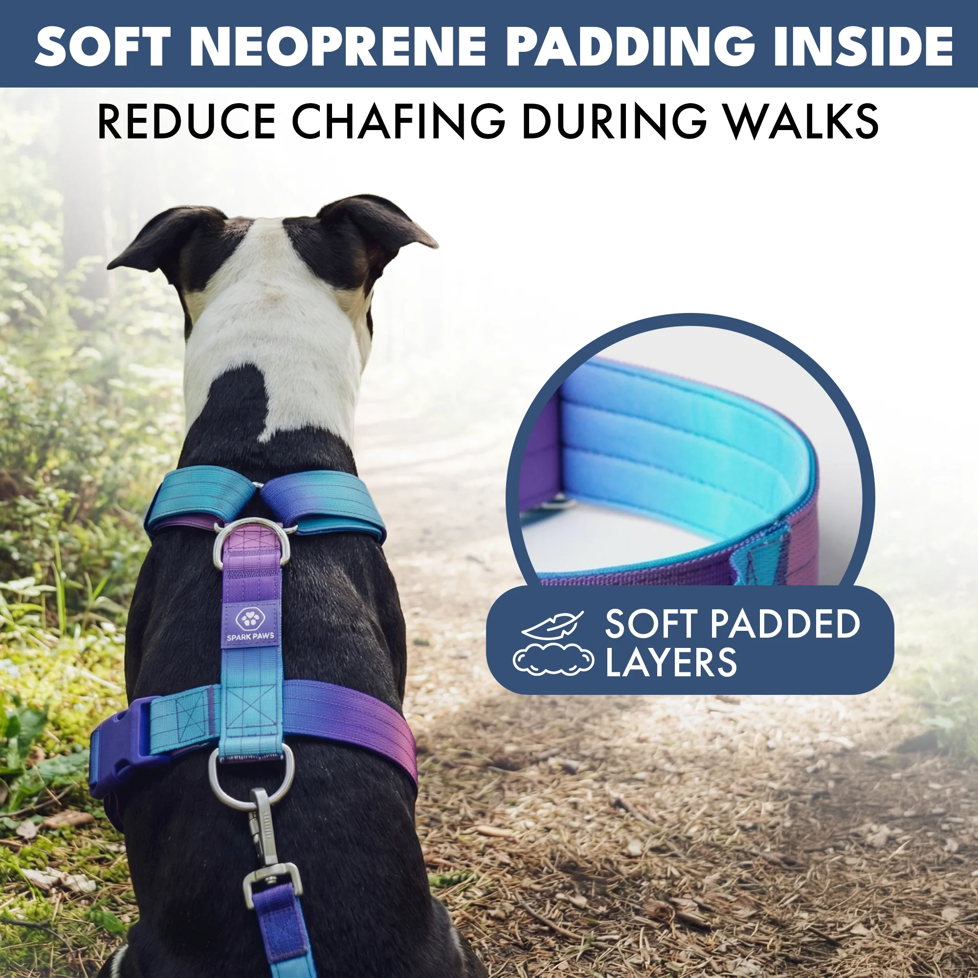 Comfort Control No-Pull Dog Harness Set - 90s Retro - Image 5