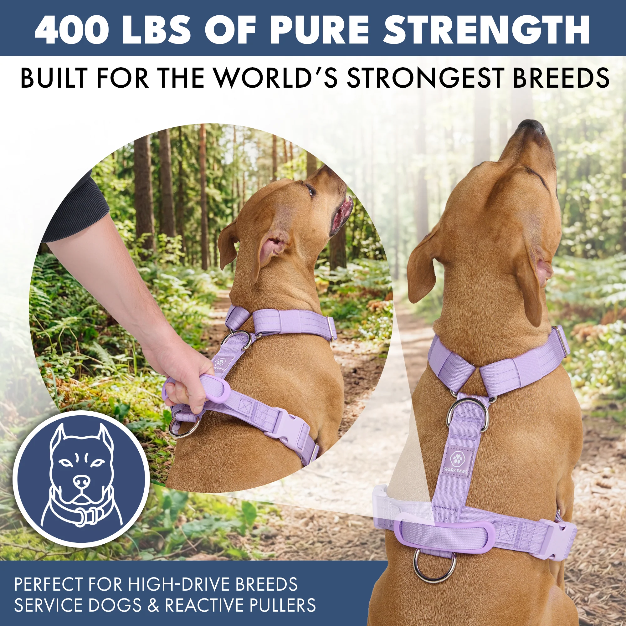 Comfort Control™ No-Pull Dog Harness - Lilac - Image 4