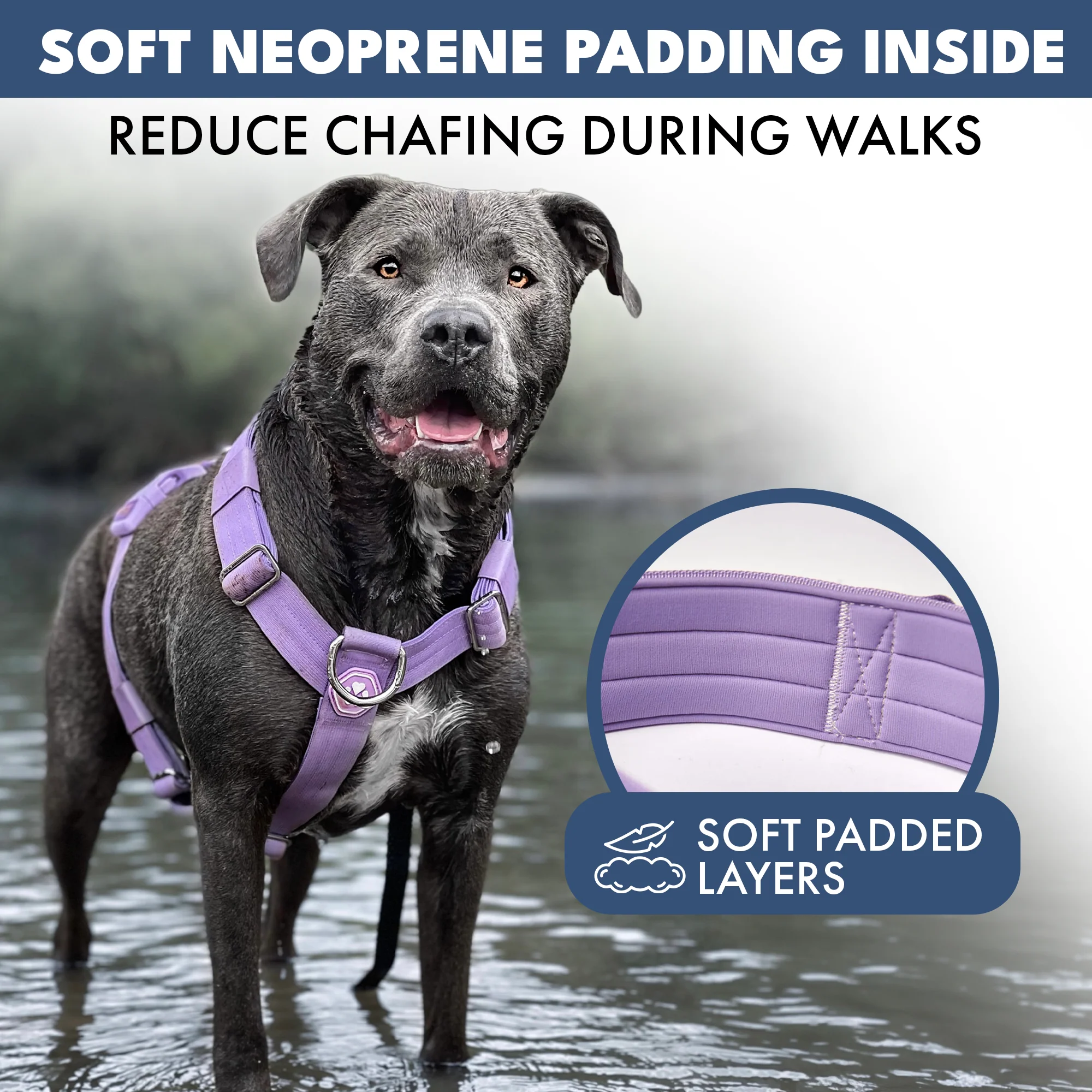 Comfort Control™ No-Pull Dog Harness - Lilac - Image 5