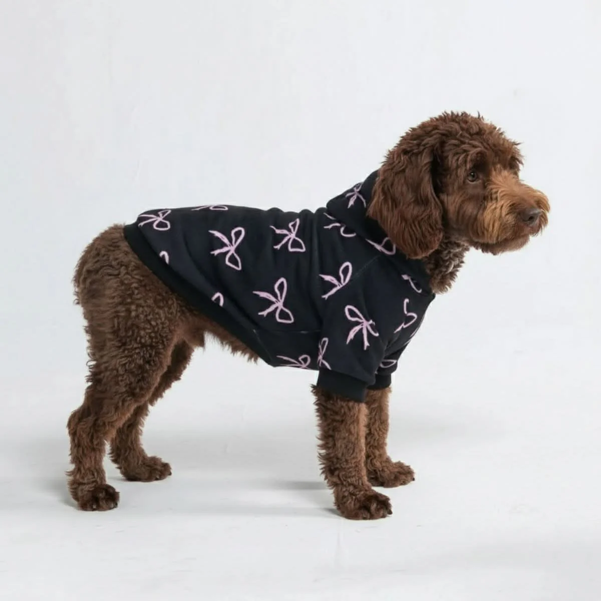 Coquette Dog Hoodie - Image 3