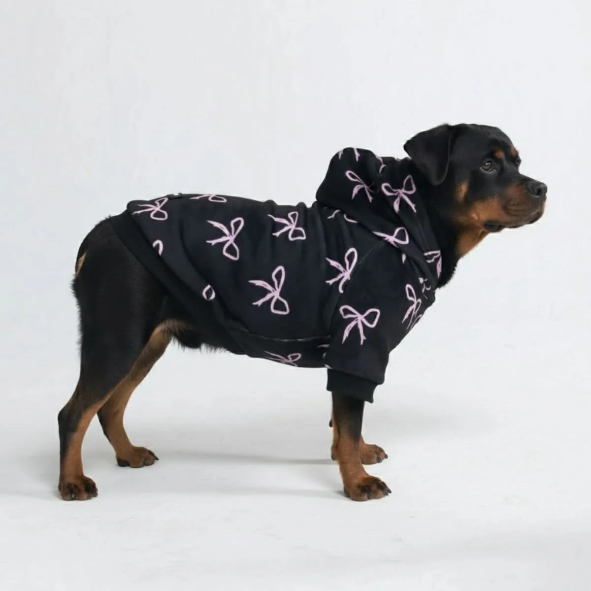 Coquette Dog Hoodie - Image 4
