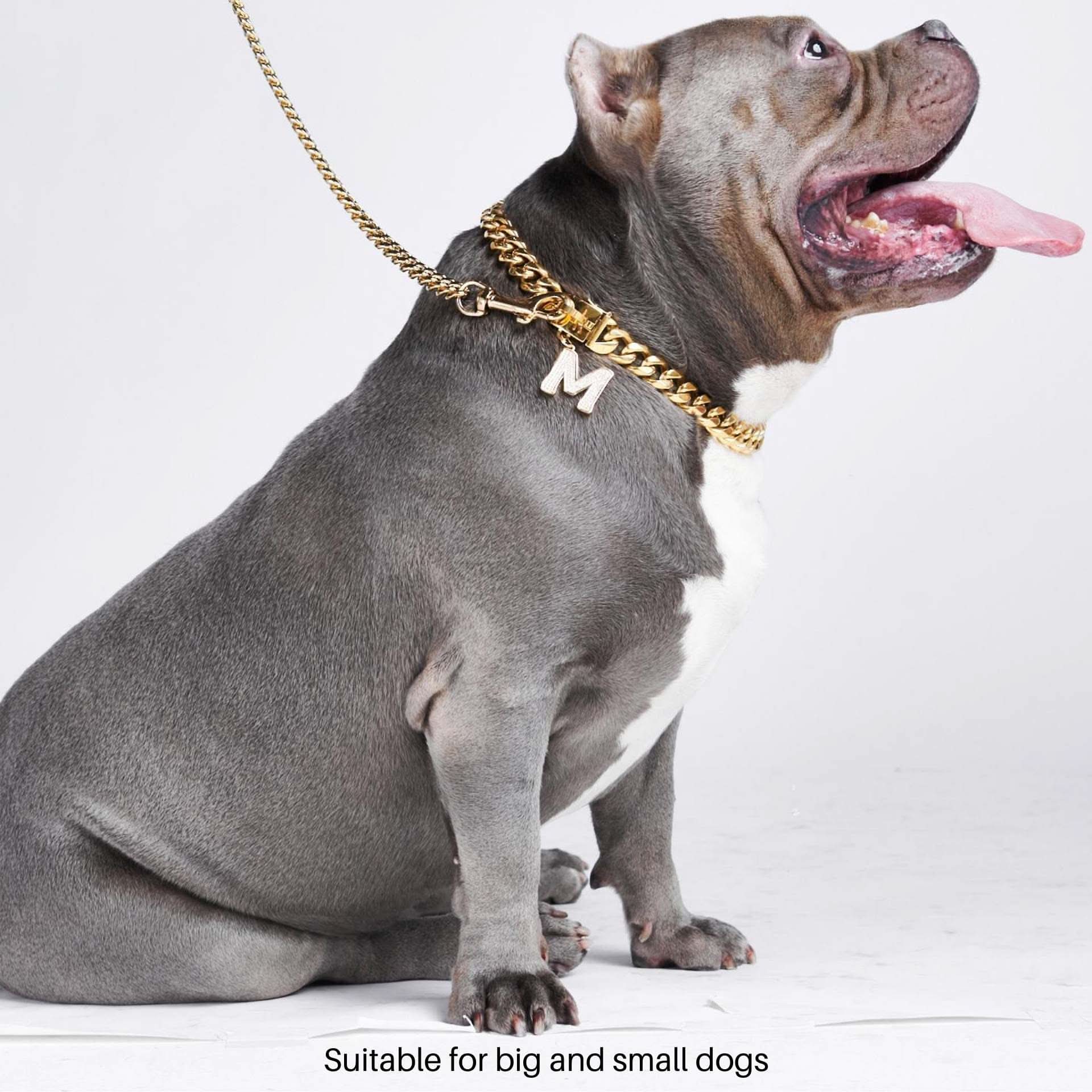 Gold Chain Dog Collar 20mm - Image 4