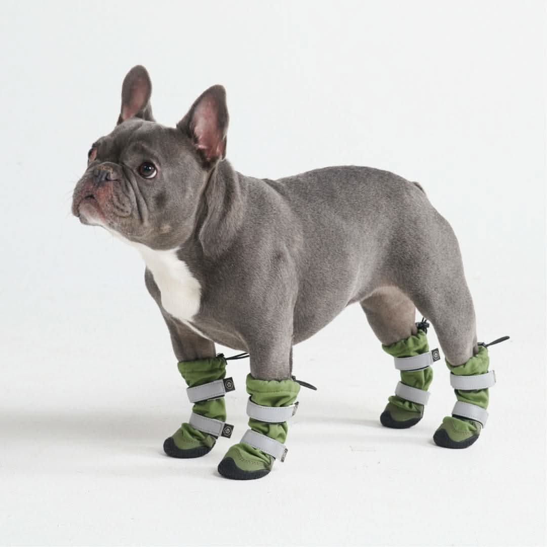 Dog Rainboots, Waterproof Dog Shoes - Image 11