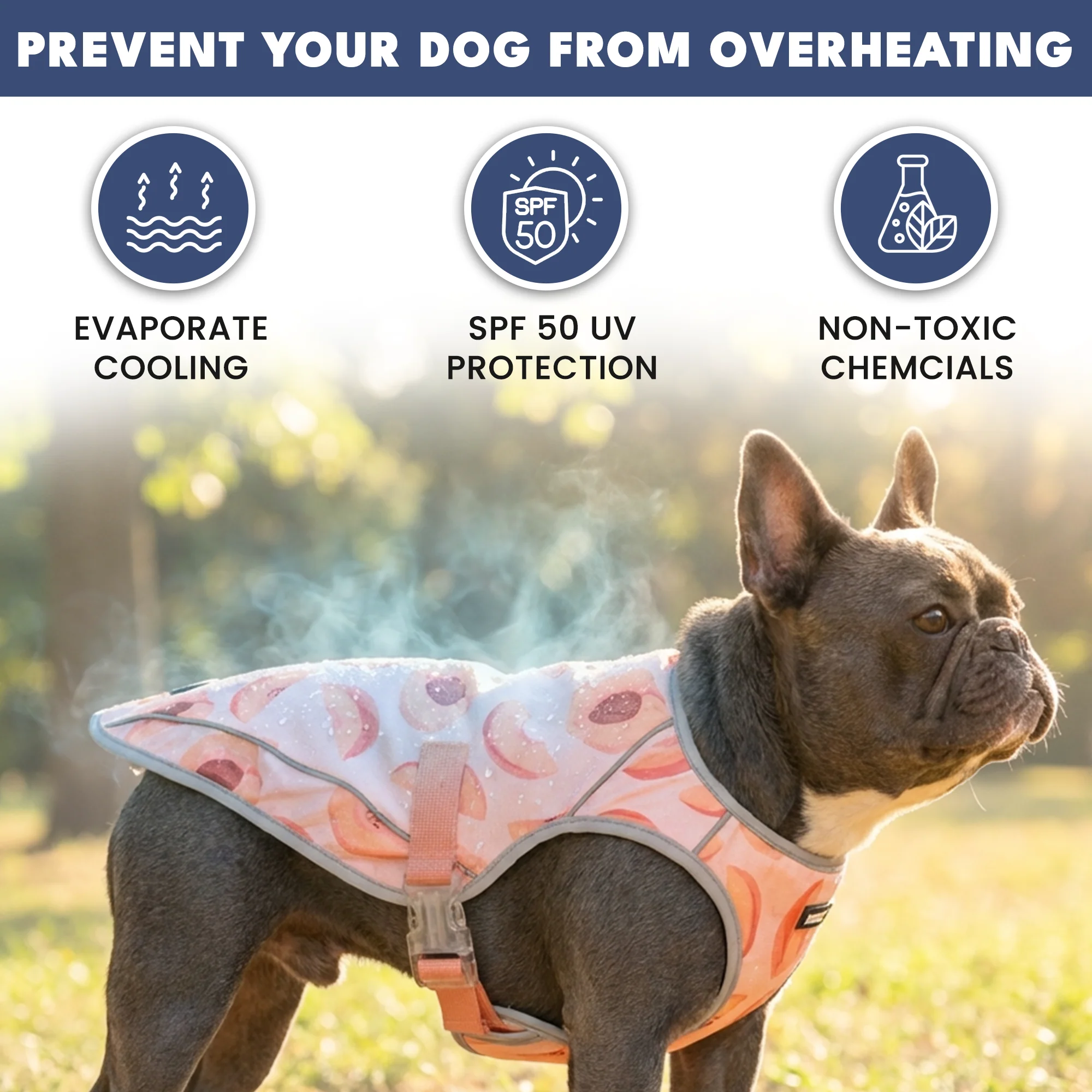 Chilltech™ Dog Cooling Vests - Image 82