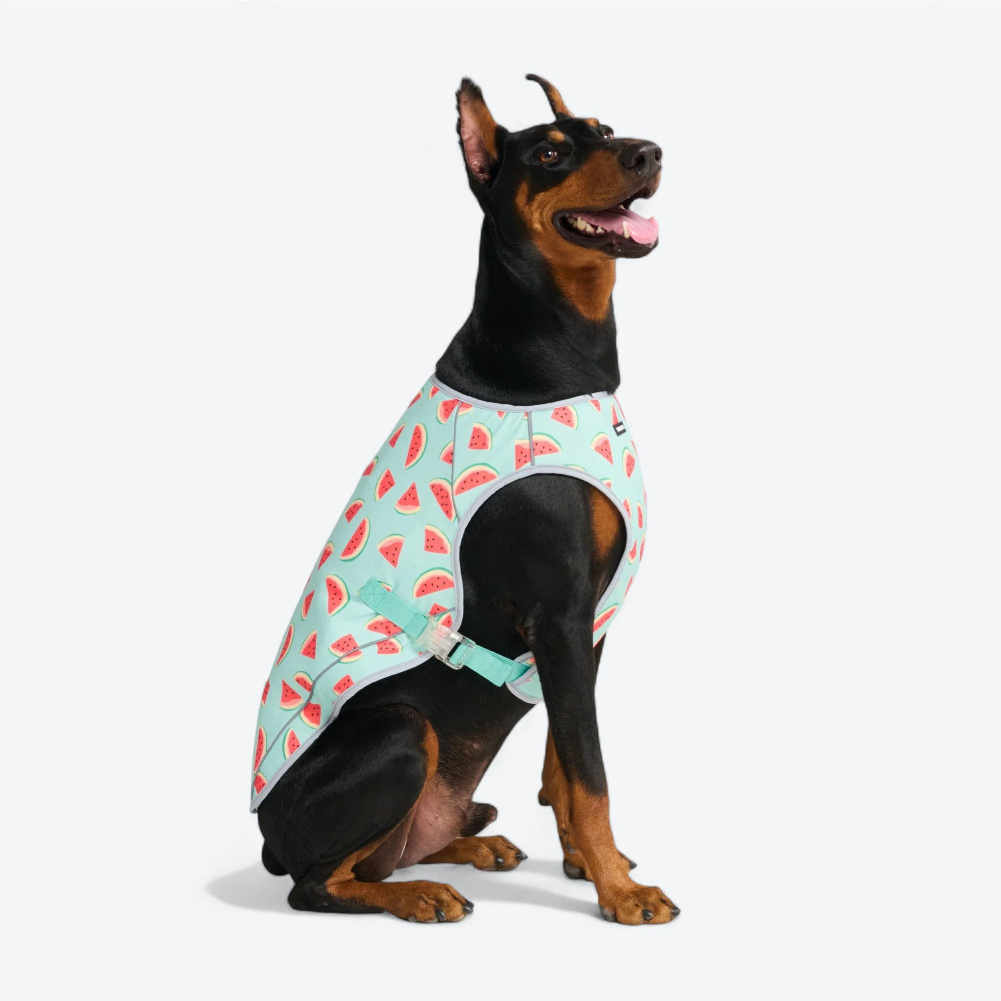 Chilltech™ Dog Cooling Vests - Image 46