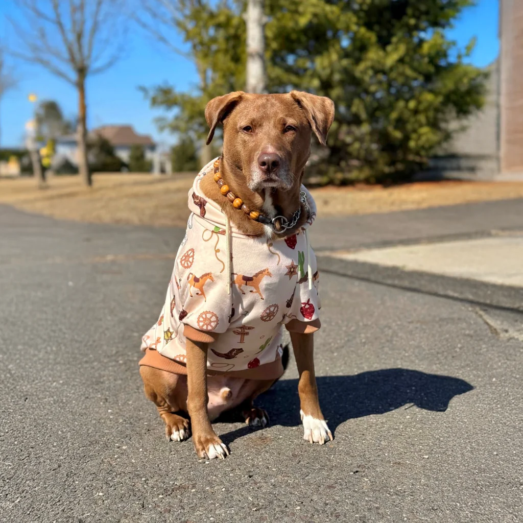 Dog Hoodie Prints - Image 26
