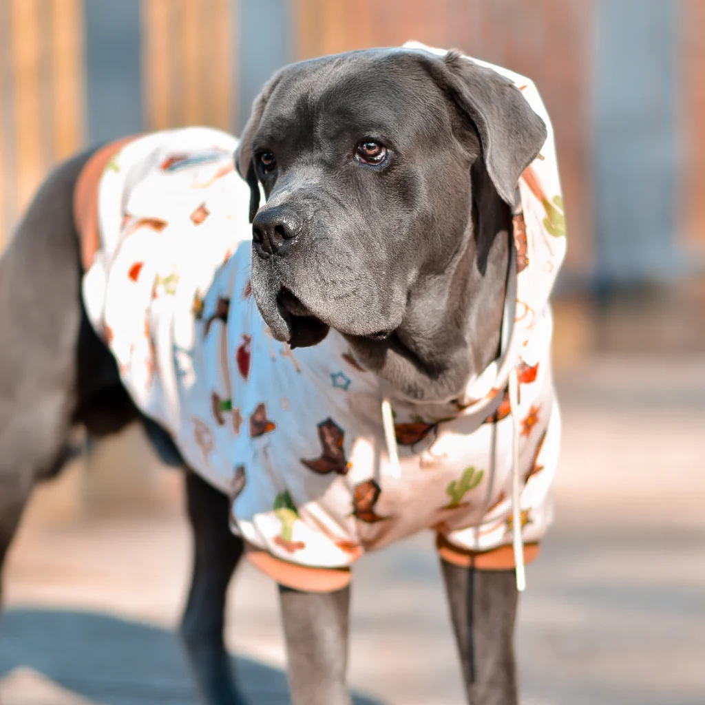 Dog Hoodie Prints - Image 27