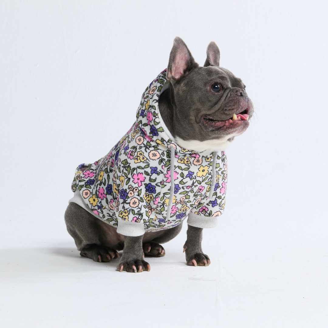 Dog Hoodie Prints - Image 49