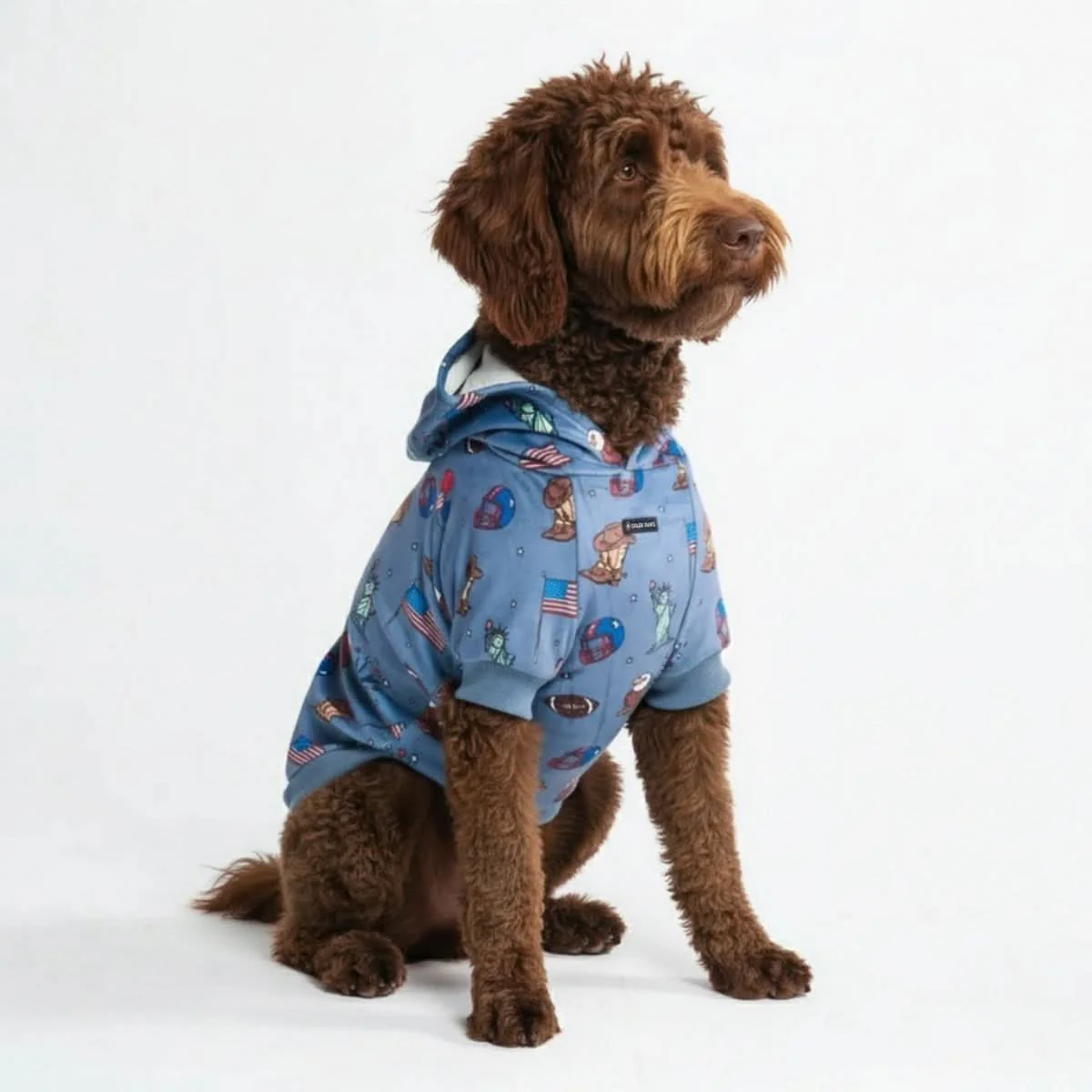Around the World Dog Hoodies - Image 13