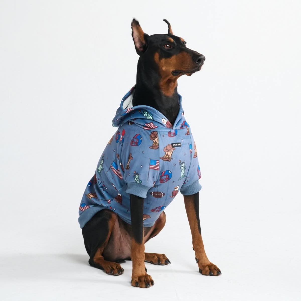 Around the World Dog Hoodies - Image 14