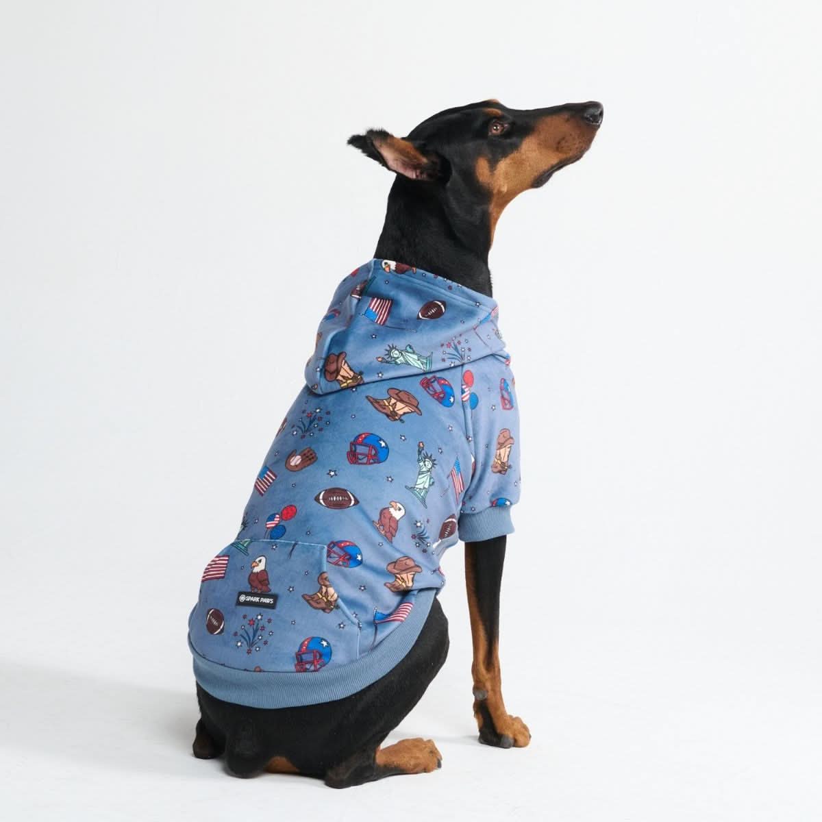 Around the World Dog Hoodies - Image 16