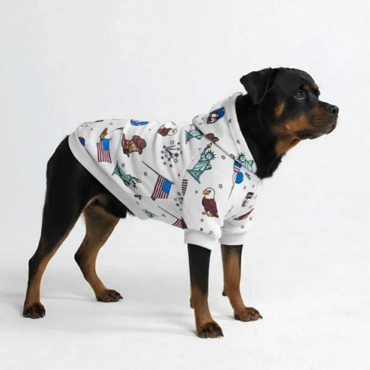 Around the World Dog Hoodies - Image 4