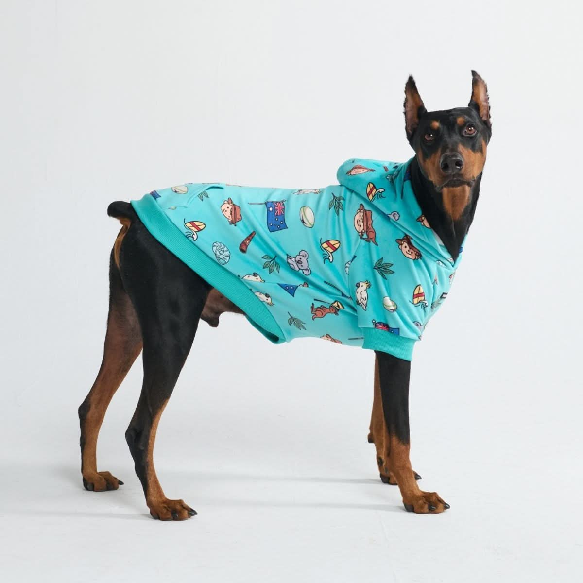Around the World Dog Hoodies - Image 61