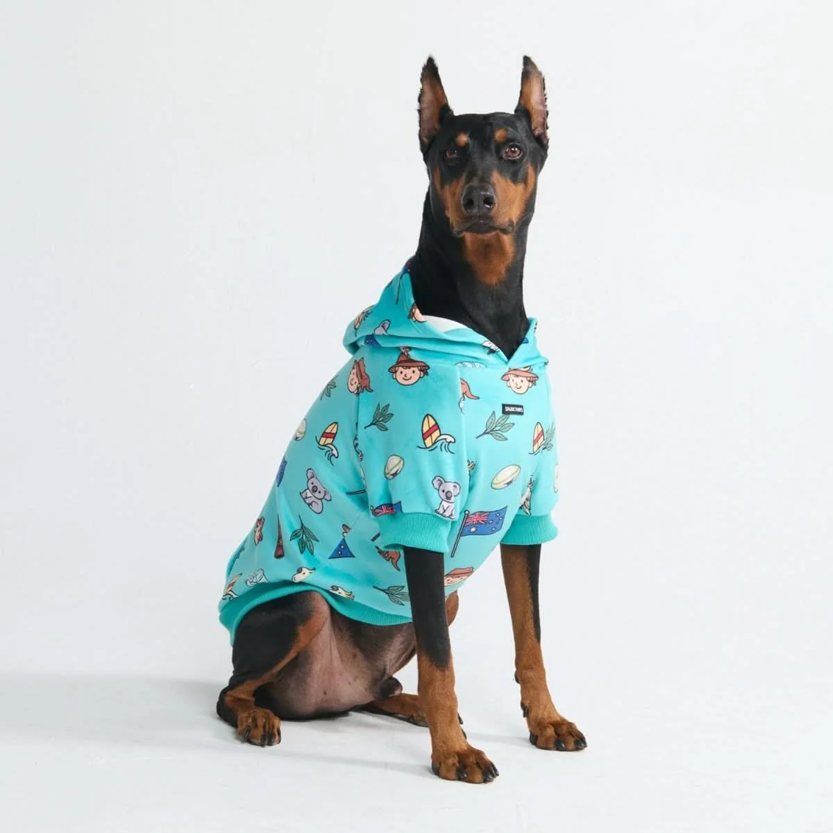 Around the World Dog Hoodies - Image 62