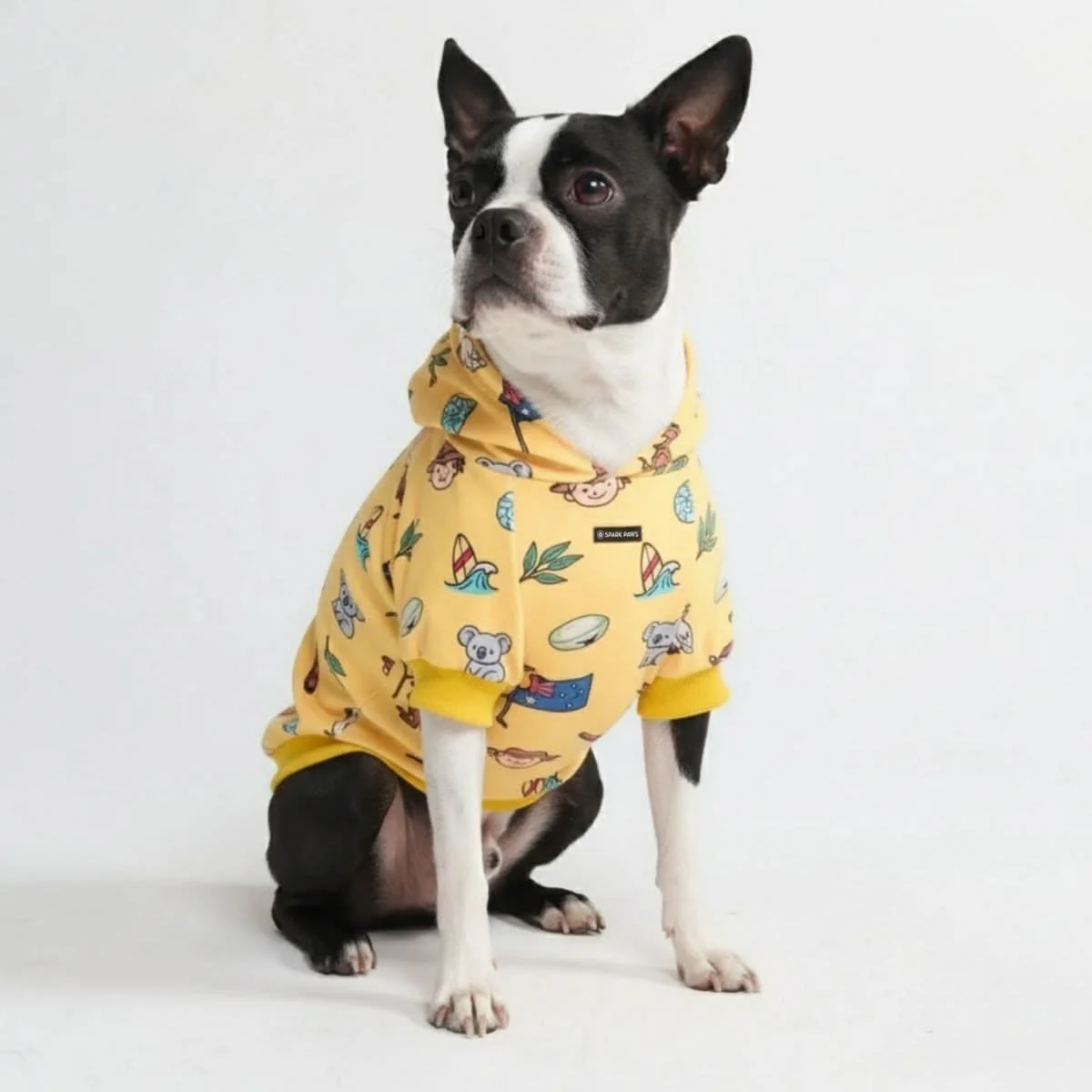 Around the World Dog Hoodies - Image 66