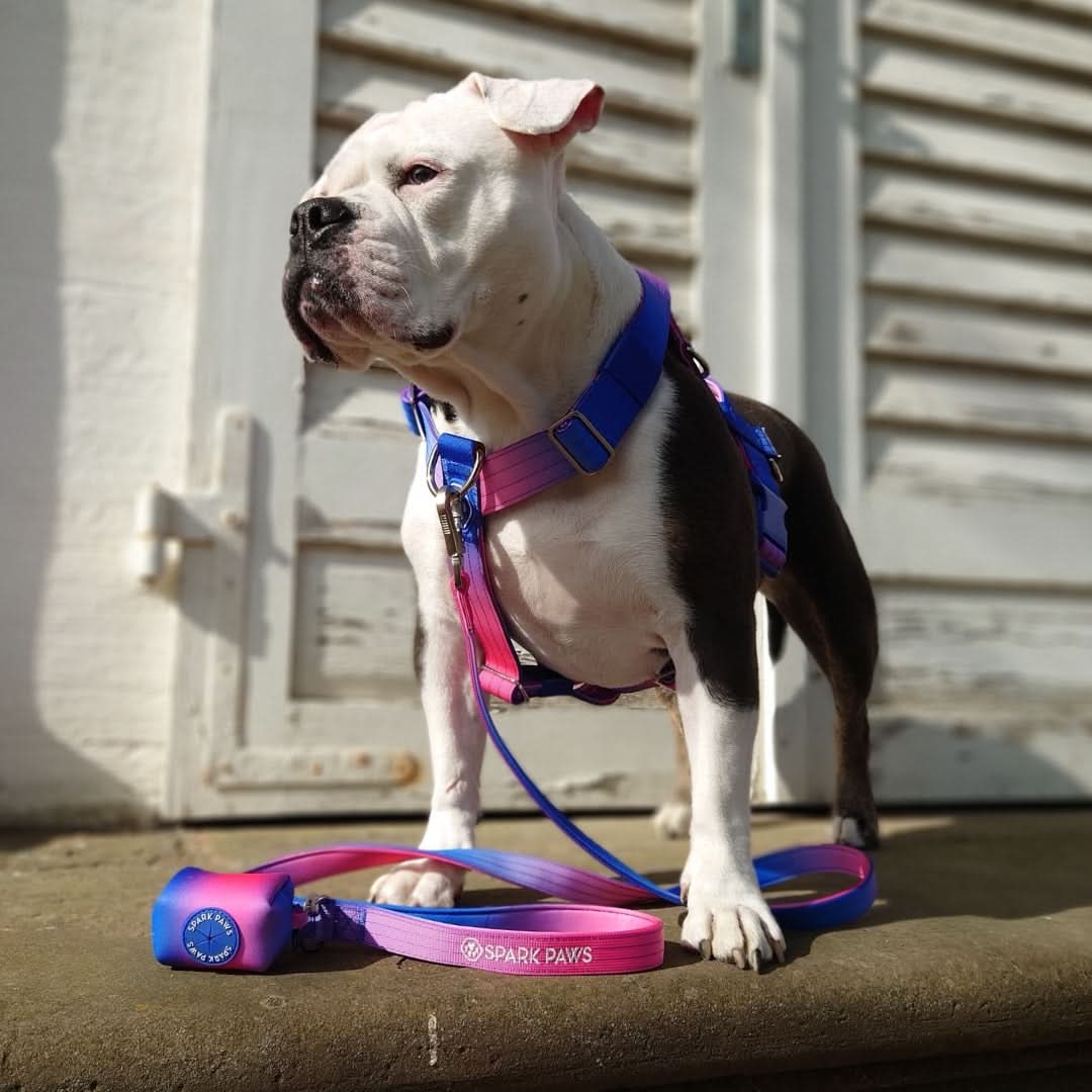 Leash and Poop Bag Holder Set - Image 34