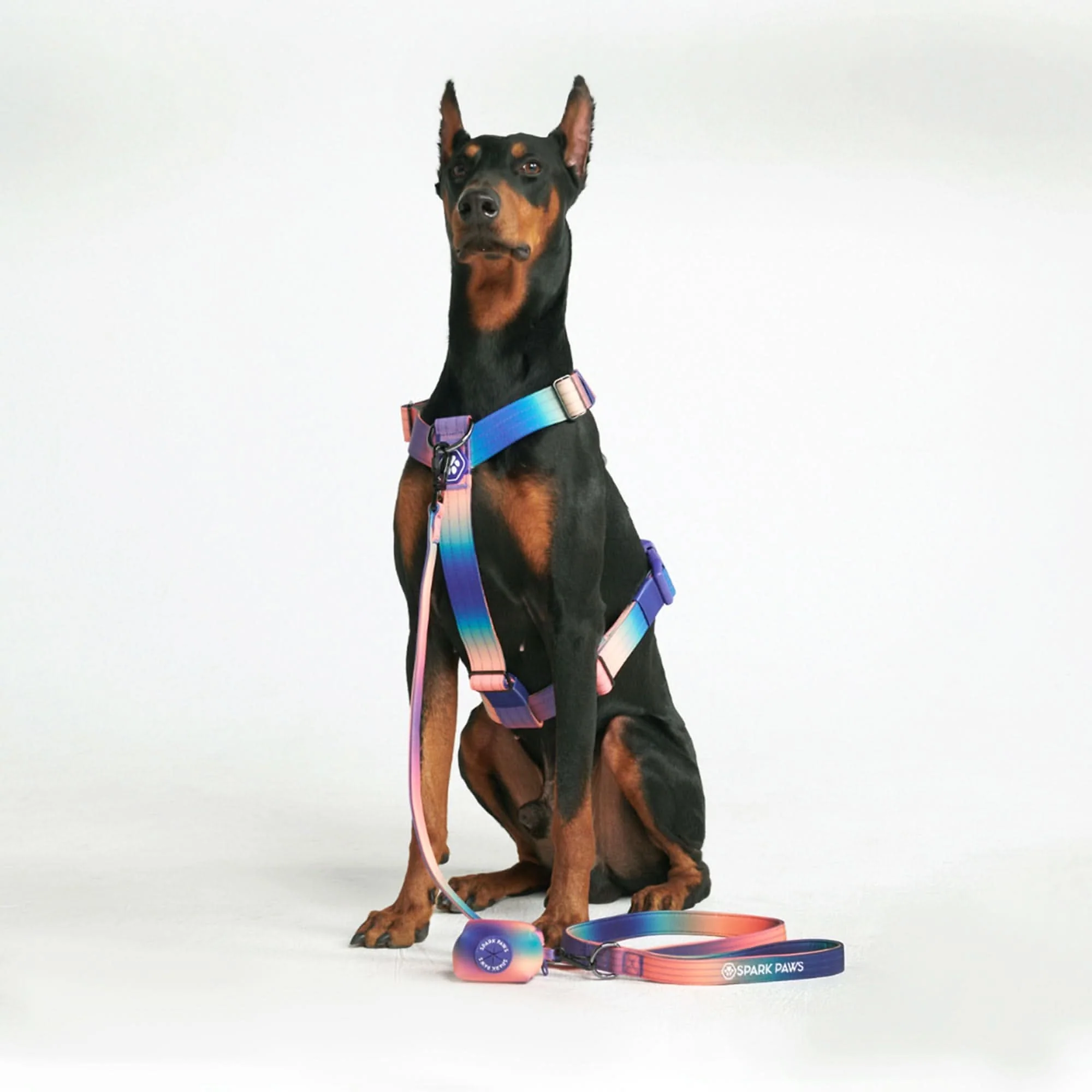 Leash and Poop Bag Holder Set - Image 68