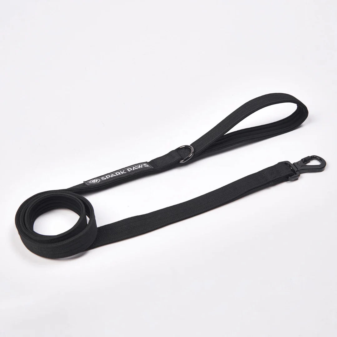 Leash and Poop Bag Holder Set - Black - Image 4